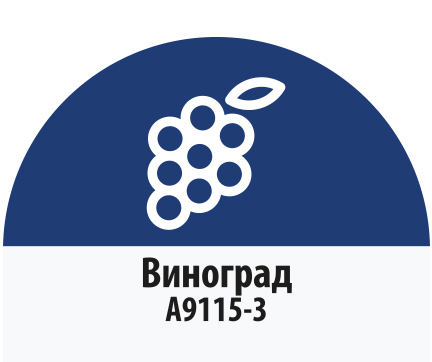 Виноград глянцевая A9115-3